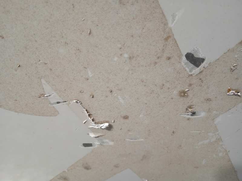 Recambio de capot para ford mondeo lim. 1.5 ecoboost cat referencia OEM IAM 2153072  