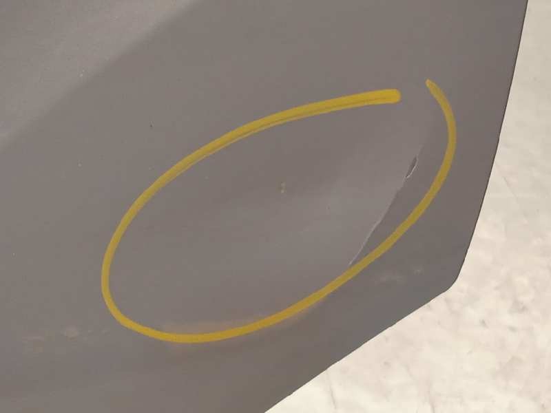 Recambio de puerta trasera izquierda para ford kuga (cbv) 2.0 tdci cat referencia OEM IAM 1520947  