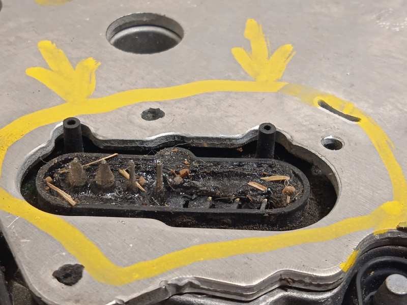 Recambio de alternador para hyundai i30 (pd) 1.0 tgdi cat referencia OEM IAM 3630007000  