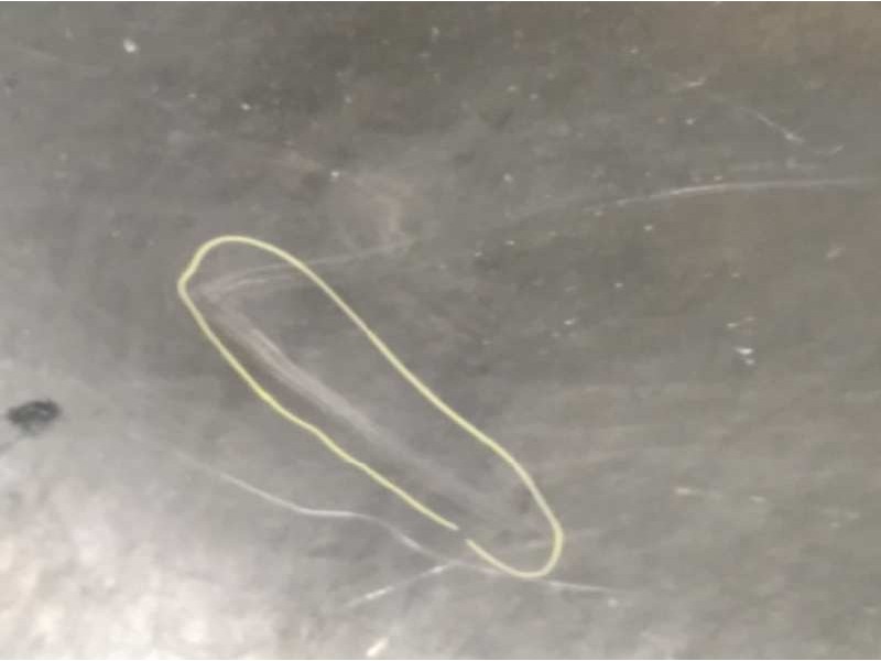 Recambio de puerta delantera izquierda para bmw x6 (e71) 3.0d referencia OEM IAM 41517198159  