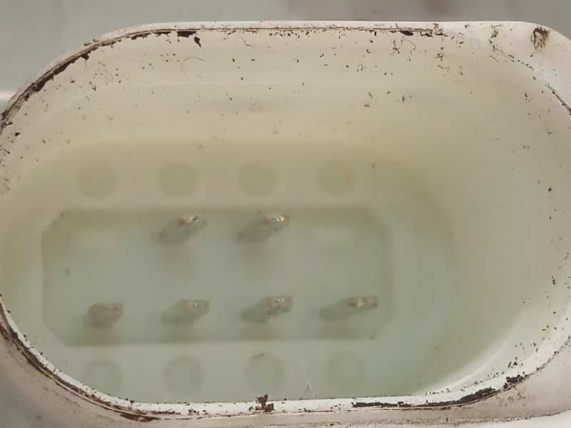 Recambio de cerradura puerta delantera izquierda para audi q3 (8ug) attraction referencia OEM IAM 8J1837015F  