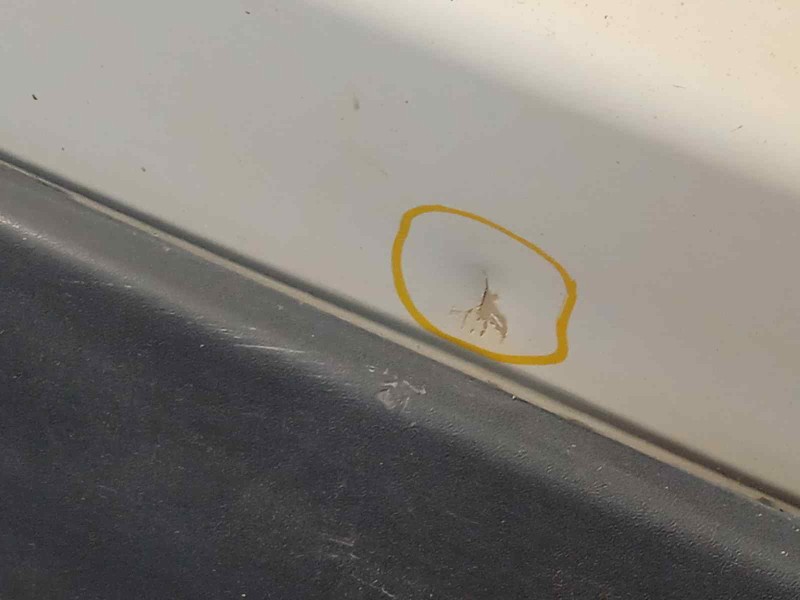 Recambio de puerta trasera izquierda para nissan kubistar (x76) 1.5 dci turbodiesel cat referencia OEM IAM 9340600QAA  