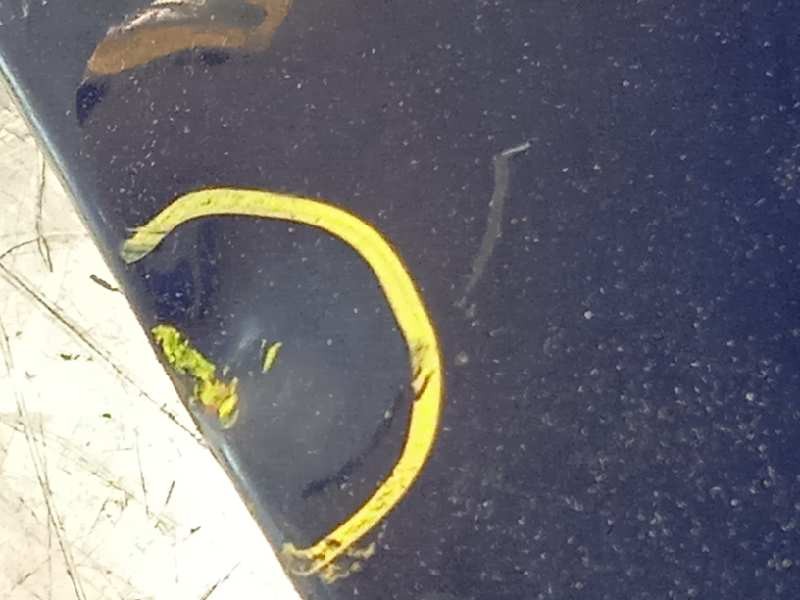 Recambio de aleta delantera izquierda para peugeot 407 st sport pack referencia OEM IAM 7840P0  