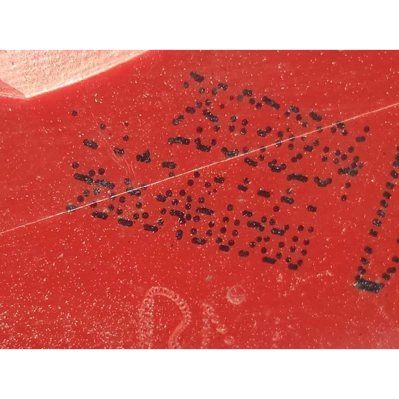 Recambio de piloto trasero derecho interior para peugeot 3008 premium referencia OEM IAM 9683460980  6351HE