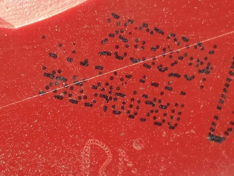 Recambio de piloto trasero derecho interior para peugeot 3008 premium referencia OEM IAM 9683460980  6351HE