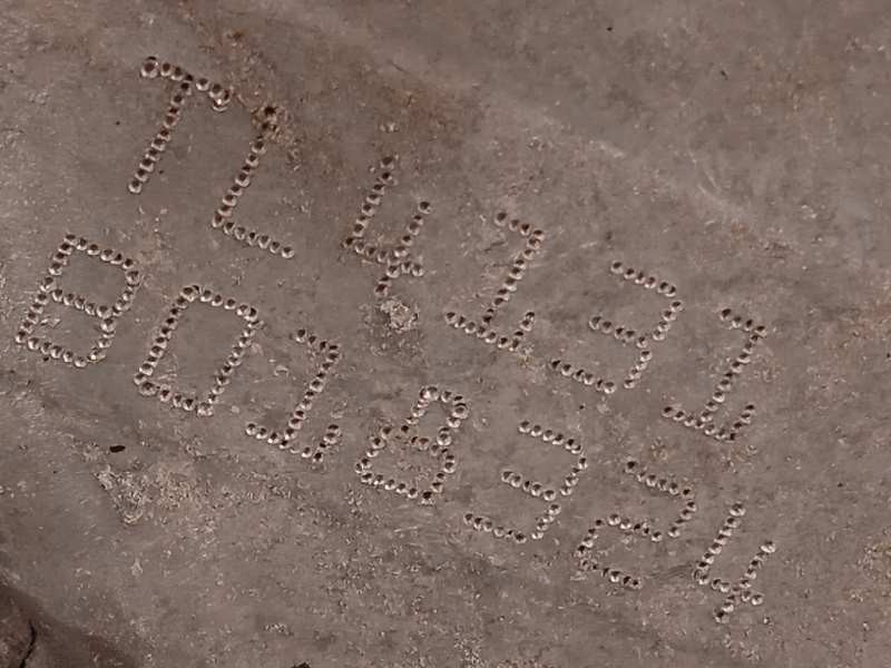 Recambio de caja cambios para nissan pulsar (c13) 1.2 16v cat referencia OEM IAM TL4131  320103323R