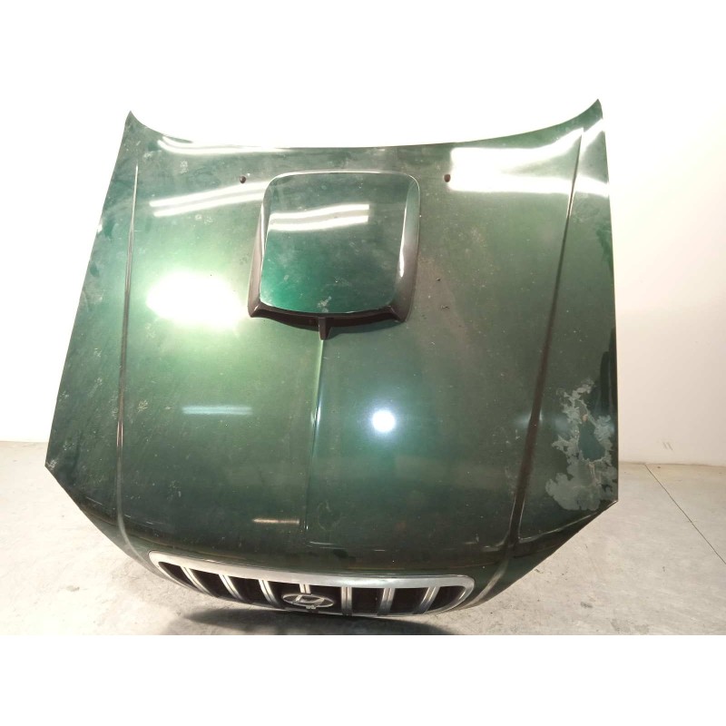 Recambio de capot para hyundai terracan (hp) 2.9 crdi gls referencia OEM IAM 79000H1211  