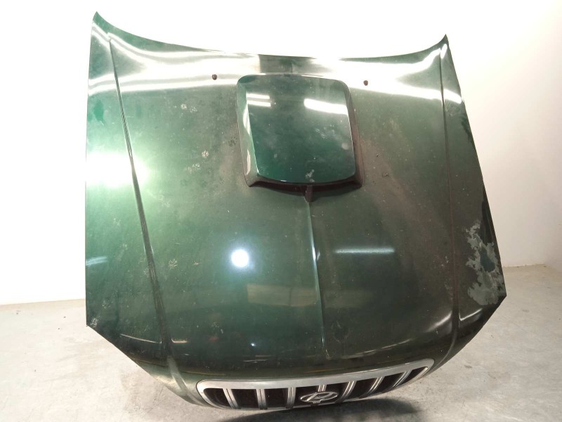 Recambio de capot para hyundai terracan (hp) 2.9 crdi gls referencia OEM IAM 79000H1211  