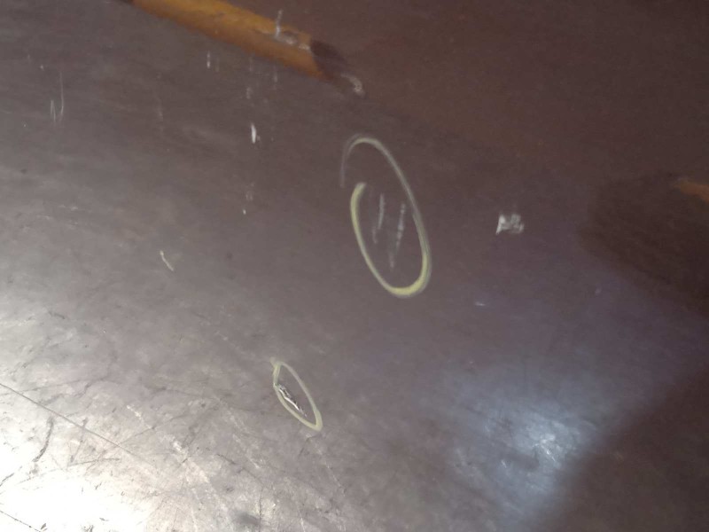 Recambio de puerta trasera derecha para bmw serie 3 berlina (e90) 318d referencia OEM IAM 41007203648  