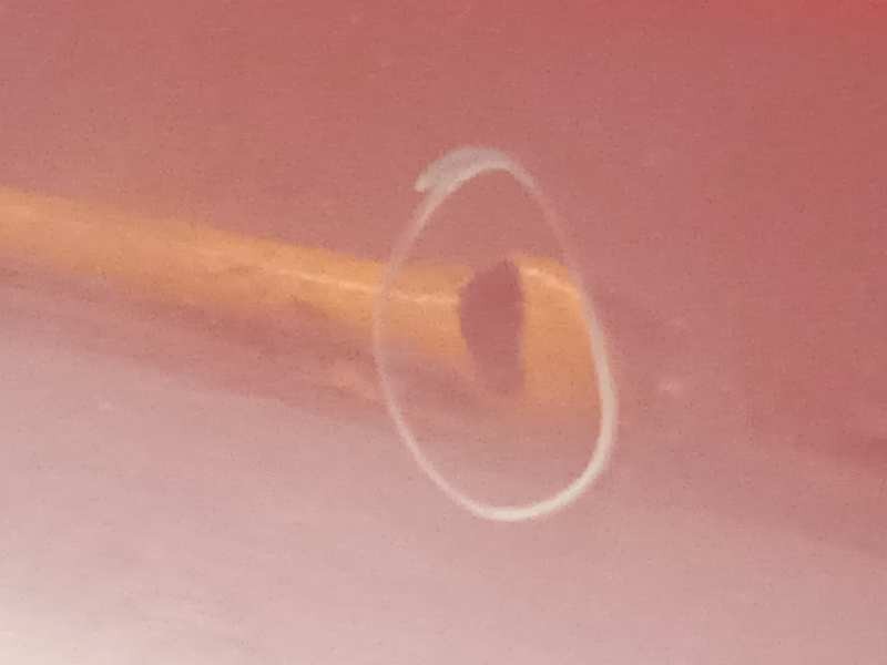 Recambio de puerta trasera izquierda para volvo v60 kombi 2.0 diesel cat referencia OEM IAM 32228972  