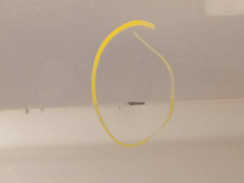 Recambio de puerta trasera derecha para ford focus turnier (cb4) trend referencia OEM IAM 1702418  