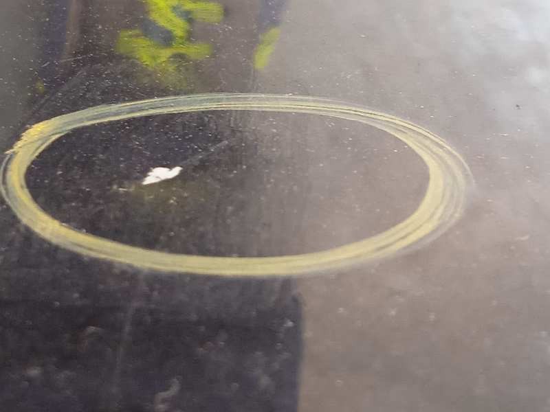 Recambio de aleta delantera izquierda para dacia logan 1.5 dci diesel cat referencia OEM IAM 6001549971  