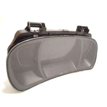 CUADRO INSTRUMENTOS 248100594R P248100594R