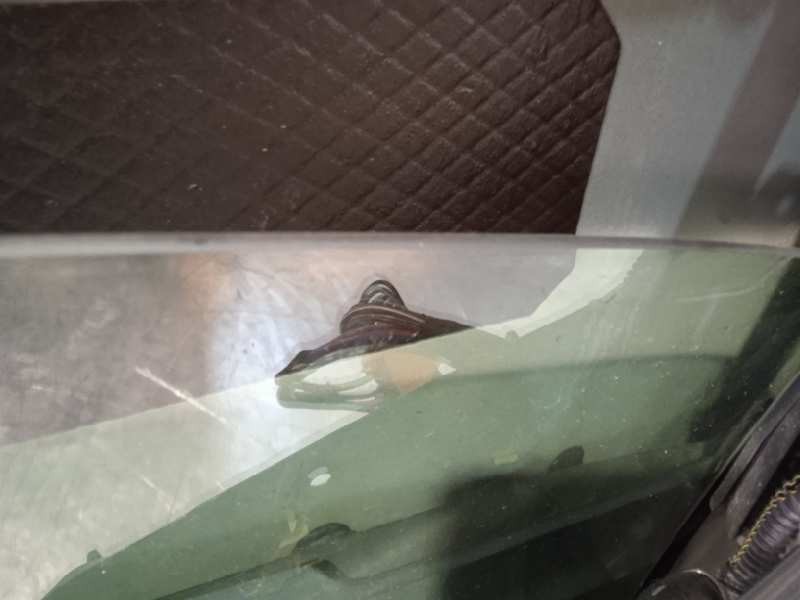 Recambio de puerta trasera derecha para cadillac bls 1.9 d pdf referencia OEM IAM 12768504  