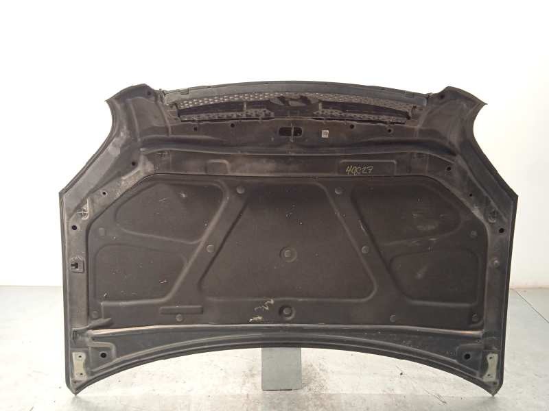 Recambio de capot para hyundai tucson (jm) 2.0 crdi cat referencia OEM IAM 664002E020  