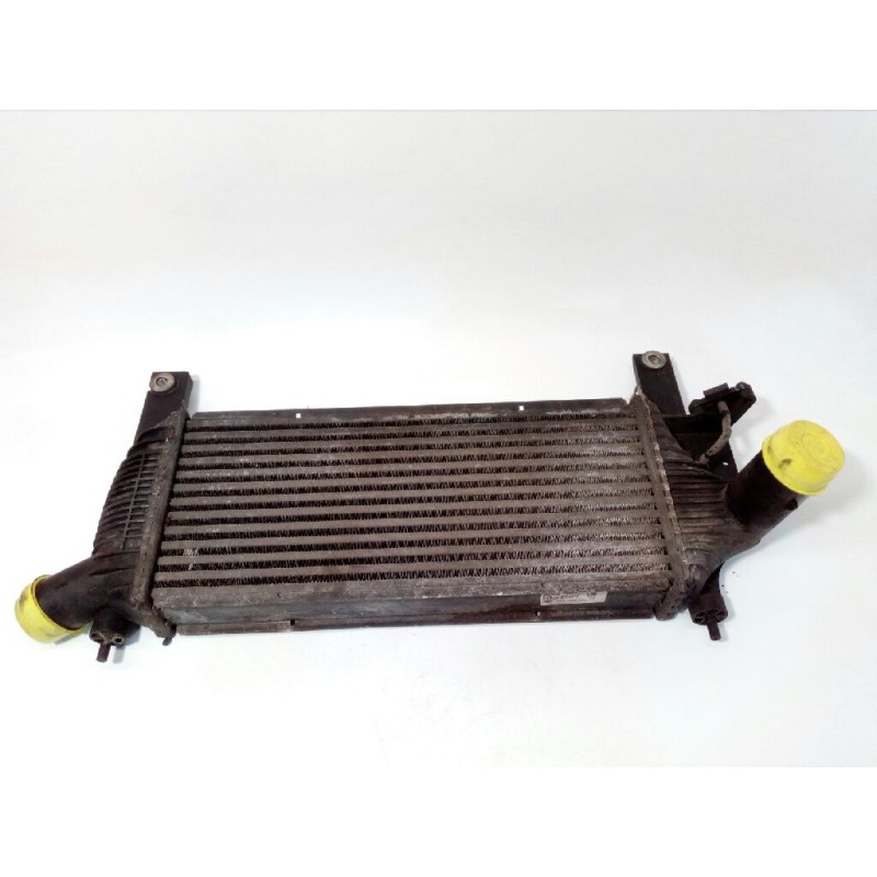 Recambio de intercooler para nissan pathfinder (r51) 2.5 dci diesel cat referencia OEM IAM 14461EB360  