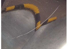 Recambio de aleta delantera izquierda para citroën c4 berlina collection referencia OEM IAM 7840Q3   2