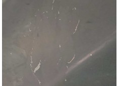 Recambio de aleta delantera derecha para skoda octavia combi (1z5) trend referencia OEM IAM 1Z0821106A   2