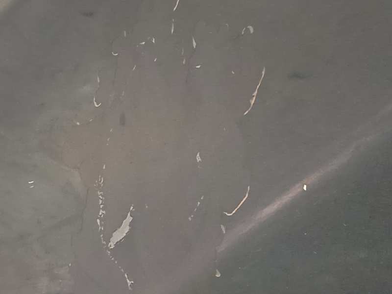 Recambio de aleta delantera derecha para skoda octavia combi (1z5) trend referencia OEM IAM 1Z0821106A  