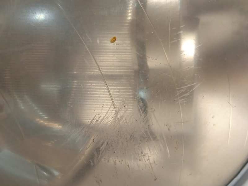 Recambio de faro izquierdo para bmw mini (r50,r53) one referencia OEM IAM 6961345  63127198729