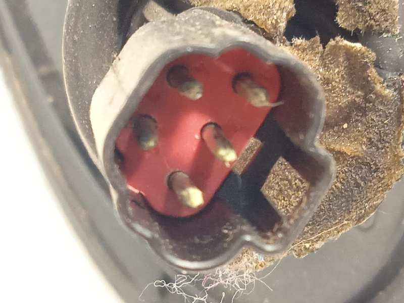 Recambio de retrovisor derecho para ford focus berlina (cak) rs referencia OEM IAM 1347095  