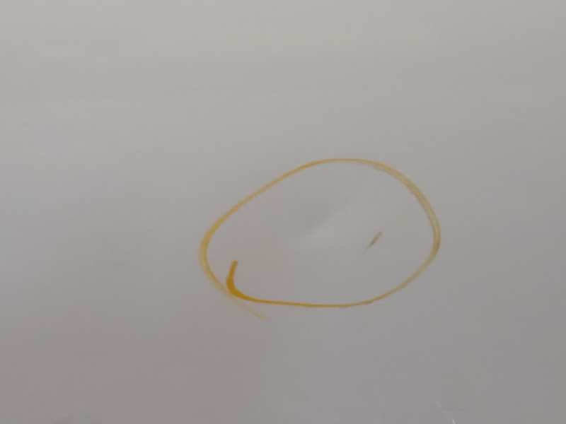 Recambio de puerta trasera izquierda para citroën c4 lim. collection referencia OEM IAM 9006R9  