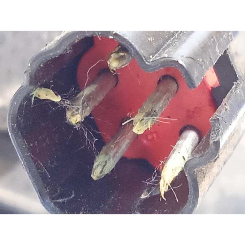 Recambio de retrovisor derecho para ford focus berlina (cak) trend referencia OEM IAM 1347095  