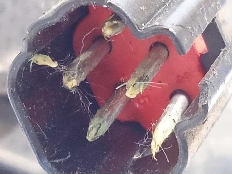 Recambio de retrovisor derecho para ford focus berlina (cak) trend referencia OEM IAM 1347095  