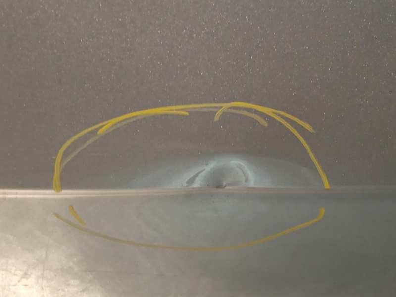 Recambio de porton trasero para kia carnival ii 2.9 cdri ex referencia OEM IAM 0K54A62020B  