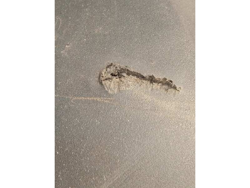 Recambio de paragolpes trasero para bmw serie x1 (f48) xdrive20i xline referencia OEM IAM 51127403391  51127403392