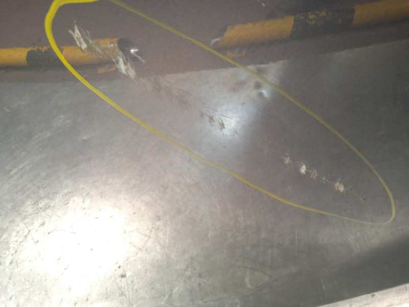 Recambio de puerta trasera derecha para hyundai i20 1.2 16v cat referencia OEM IAM 770044P000  