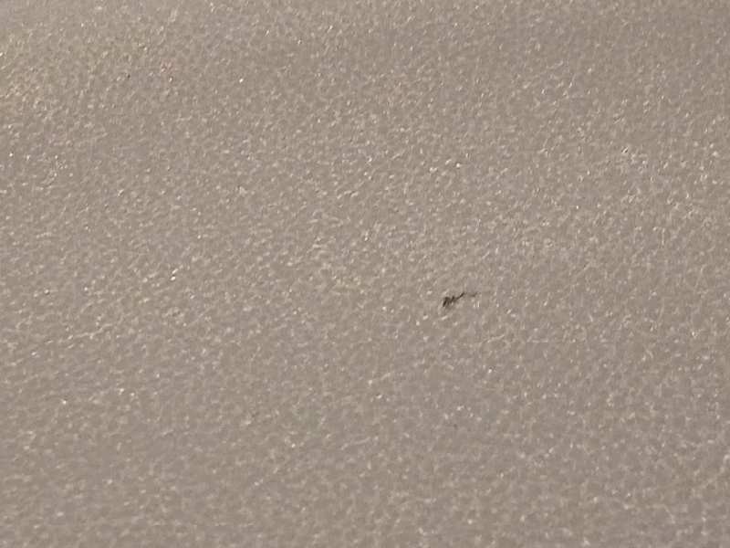 Recambio de kit airbag para subaru xv (g5) 1.6 cat referencia OEM IAM NOREF  