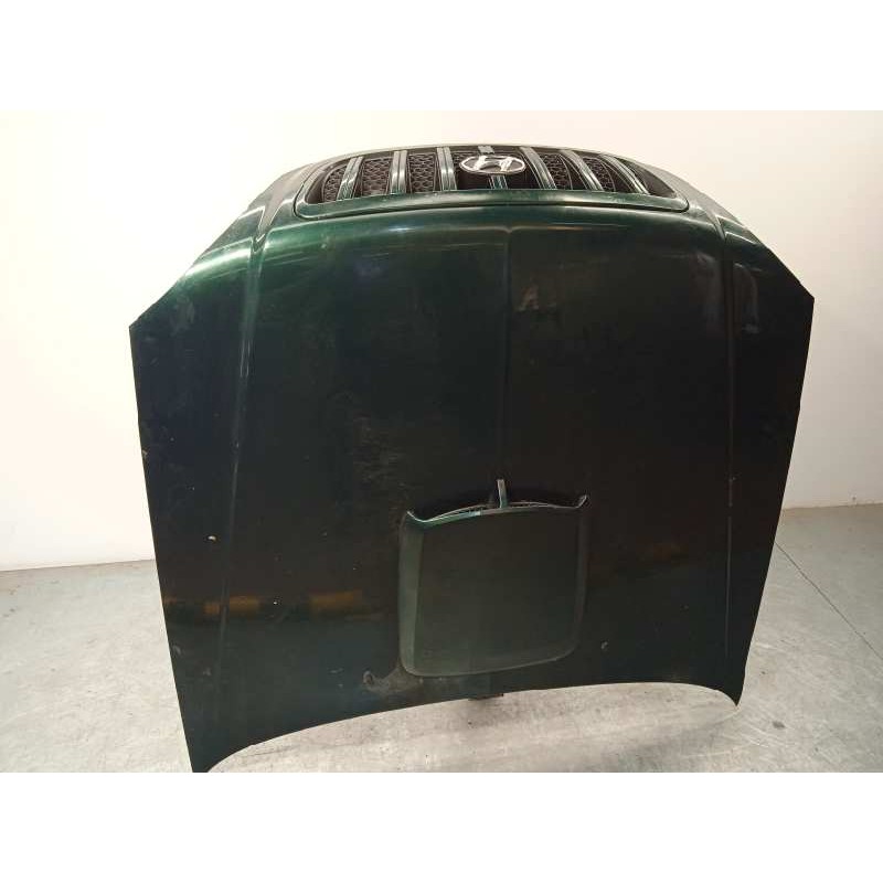 Recambio de capot para hyundai terracan (hp) 2.9 crdi gl referencia OEM IAM 79000H1212  