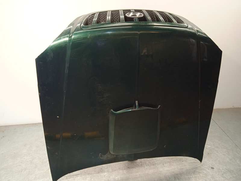 Recambio de capot para hyundai terracan (hp) 2.9 crdi gl referencia OEM IAM 79000H1212  