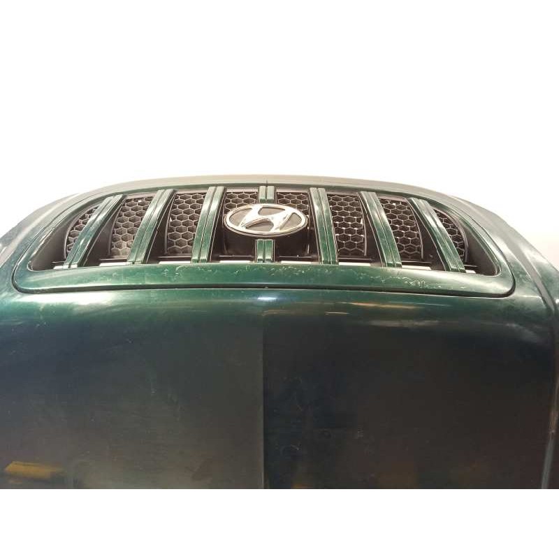 Recambio de capot para hyundai terracan (hp) 2.9 crdi gl referencia OEM IAM 79000H1212  