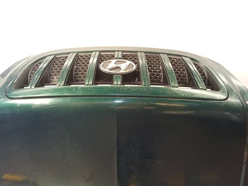 Recambio de capot para hyundai terracan (hp) 2.9 crdi gl referencia OEM IAM 79000H1212  