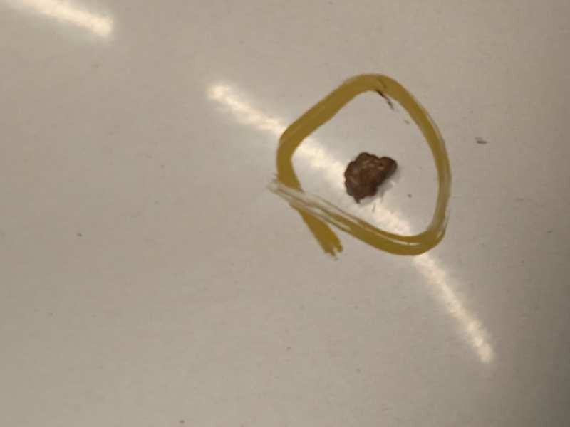 Recambio de capot para citroën c8 2.2 hdi exclusive referencia OEM IAM 7901N3  