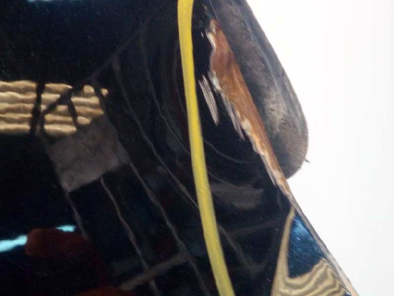 Recambio de aleta delantera derecha para kia carens 2.0 crdi ex monovolumen referencia OEM IAM 0K2JA52111  