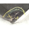 Recambio de paragolpes trasero para tesla model 3 (5yj3) ev referencia OEM IAM 1083983S0A  