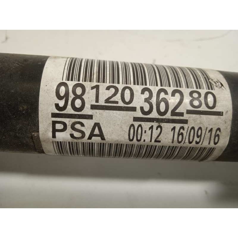 Recambio de transmision delantera izquierda para citroën c-elysée exclusive referencia OEM IAM 9812036280  