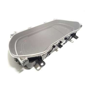 CUADRO INSTRUMENTOS 248091840R P248091840R