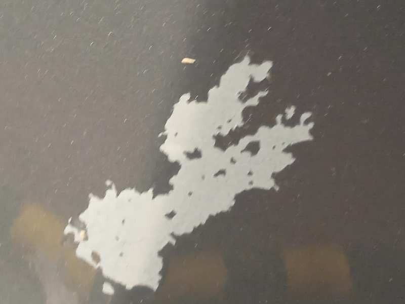 Recambio de aleta delantera izquierda para bmw serie 3 touring (e91) 330d referencia OEM IAM 41357135679  