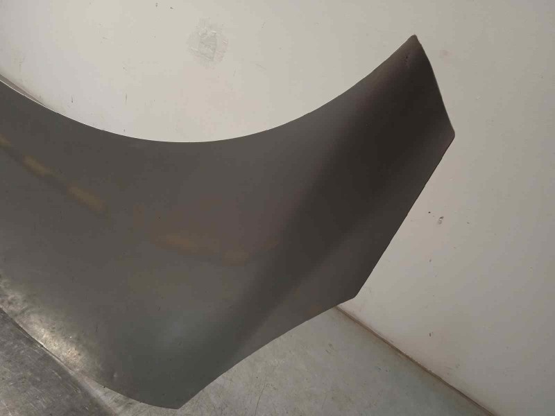 Recambio de capot para renault scenic iii 1.5 dci diesel referencia OEM IAM 651008842R  