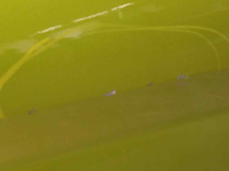 Recambio de puerta delantera derecha para ford fiesta (cb1) trend referencia OEM IAM 1692513  1806117