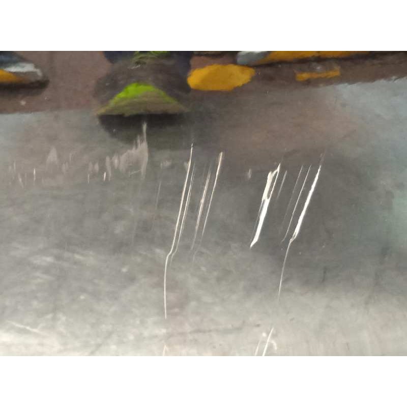 Recambio de puerta trasera izquierda para renault scenic iii dynamique referencia OEM IAM 821012747R  