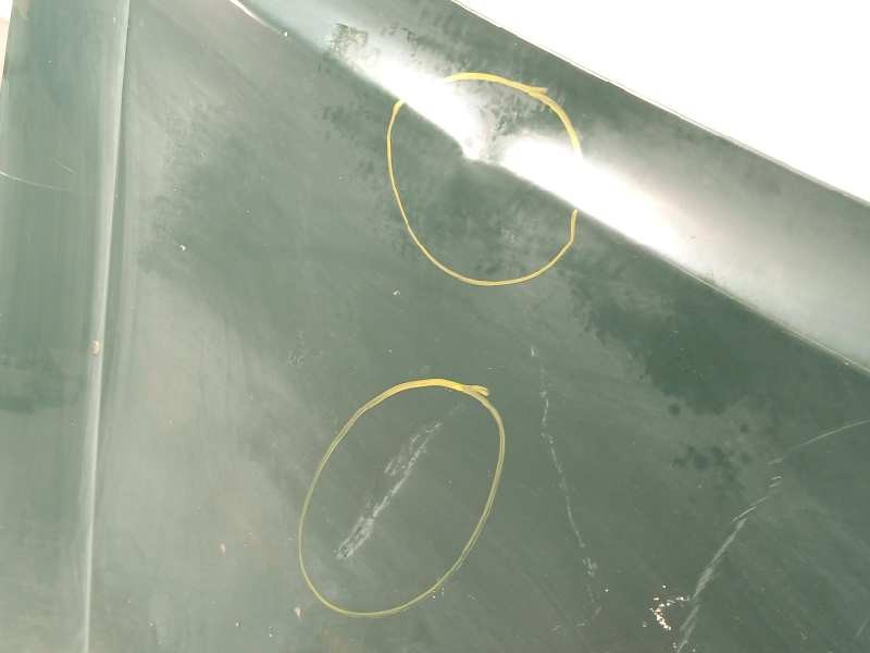 Recambio de capot para nissan pathfinder (r51) 2.5 dci diesel cat referencia OEM IAM 65100EB330  F5100EB3MA