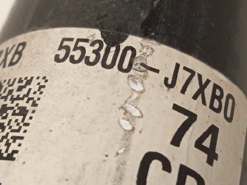 Recambio de amortiguador trasero izquierdo para kia ceed 1.4 tgdi cat referencia OEM IAM 55300J7XB0  