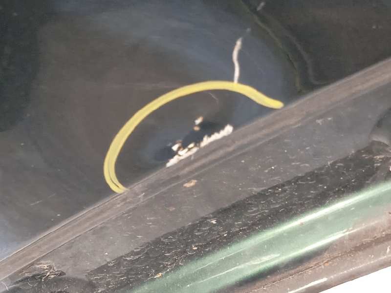 Recambio de aleta delantera derecha para bmw mini (r56) cooper d referencia OEM IAM 41355A55B02  