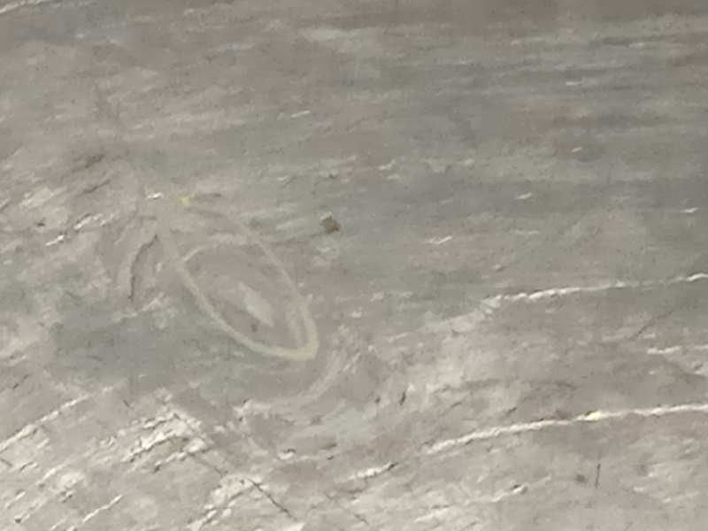 Recambio de puerta trasera izquierda para citroën c4 sedan collection referencia OEM IAM 9802635680  