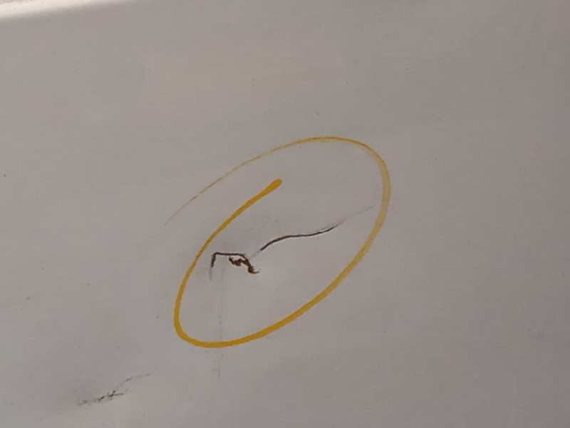 Recambio de puerta trasera derecha para volkswagen caddy ka/kb (2k) life referencia OEM IAM 2K0827092G  